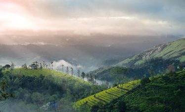 Kerala Honeymoon Tour Package